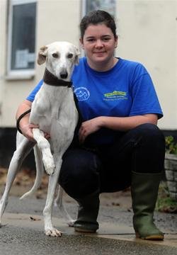 Major at Bath Cats and Dogs Home